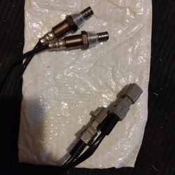 Oxygen Sensors