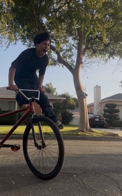 Throne 29er