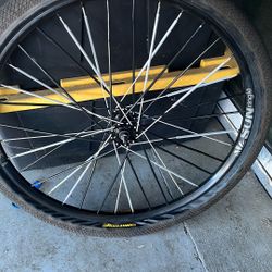 29inch Wheel