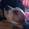 Trevor