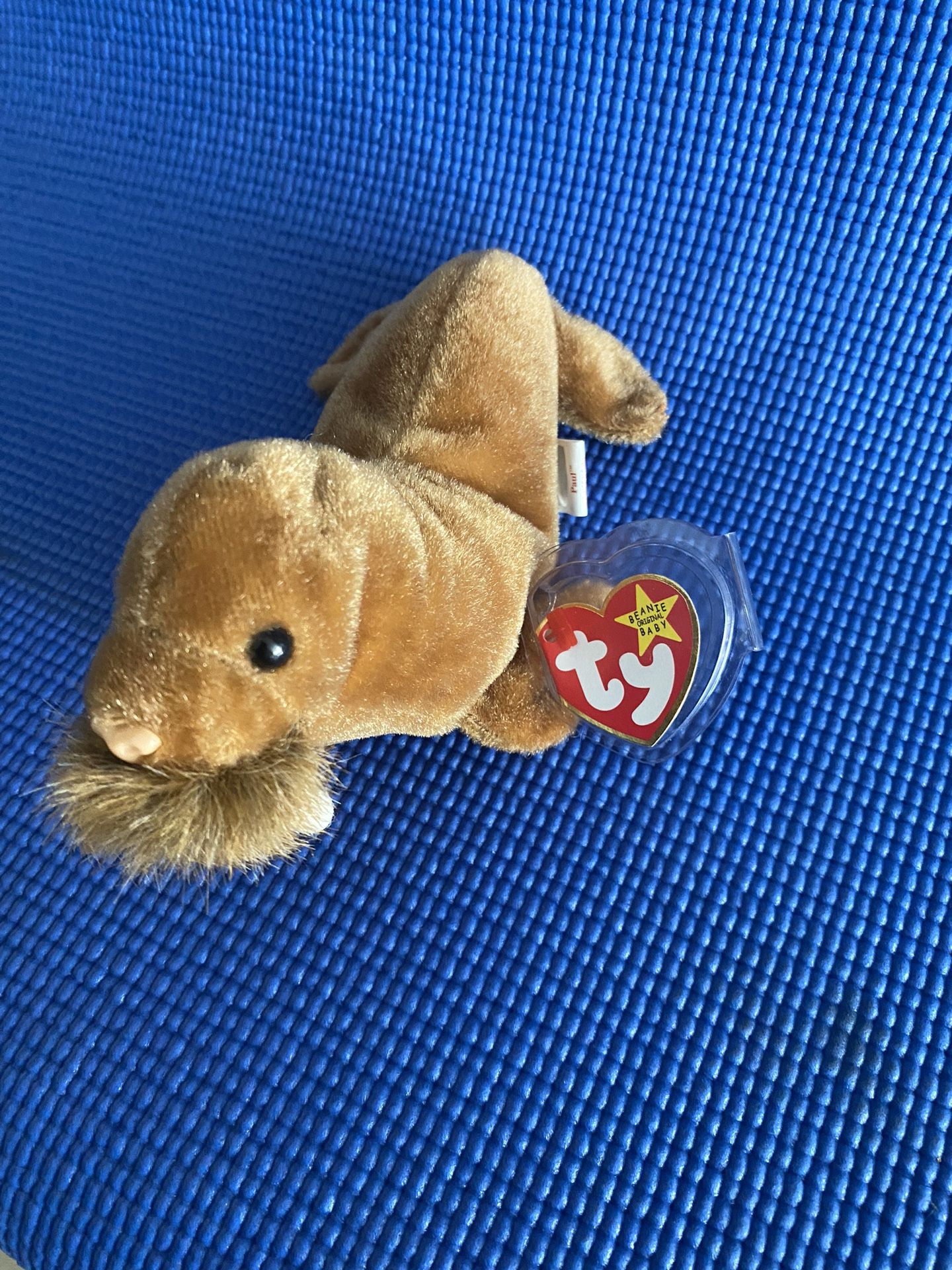 ty Beanie Baby Paul Walrus Sea Lion February 23 1999 Retired