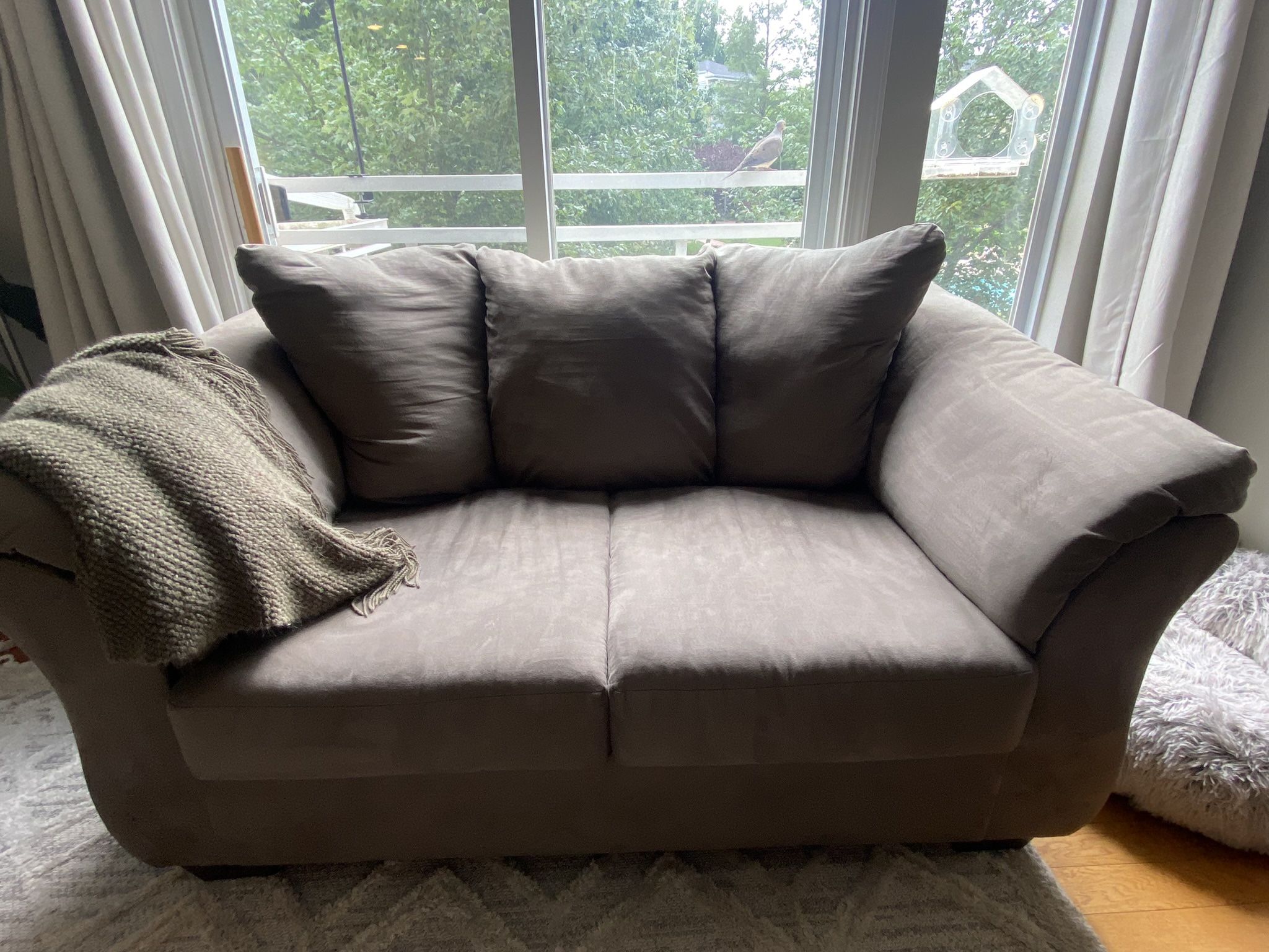 Comfy 2-Piece Couch Set – Clean & Great Condition