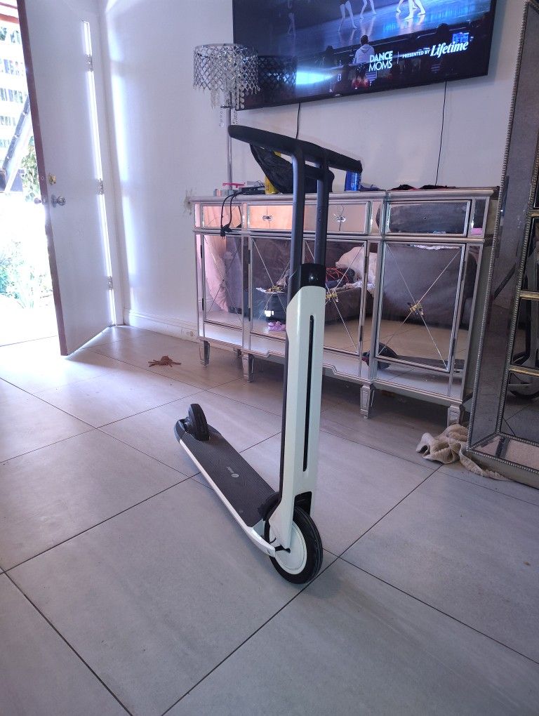 Ninebot Electric Scooter