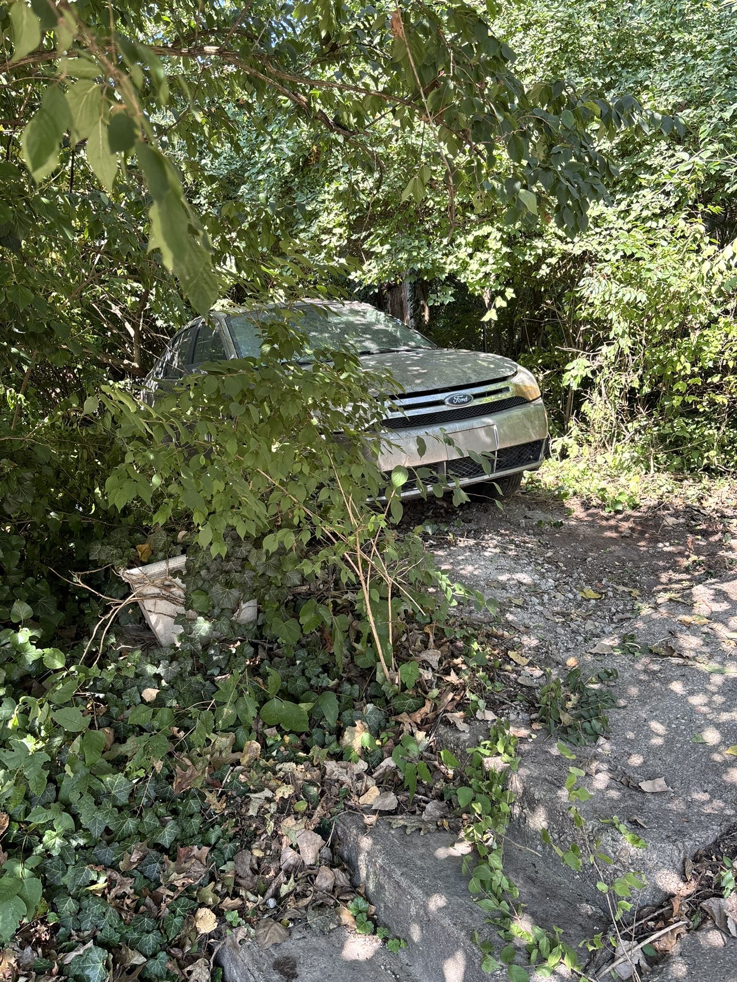 2008 Ford Focus