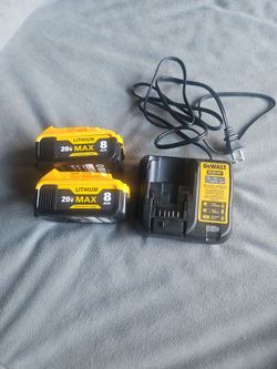 Dewalt charger