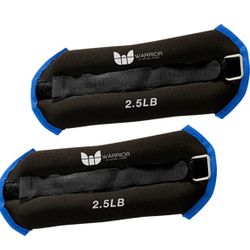 Two 2.5 Lbs  Ankle Weights 