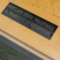  PSU Stott Center Floor Section Souvenier Volleyball