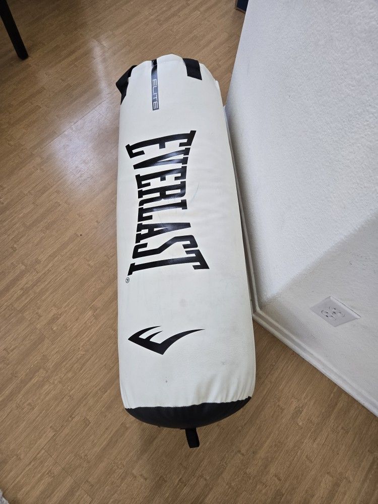 Everlast Punching Bag