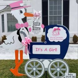 FUN CUSTOM MADE BABY ANNOUNCEMENTS!