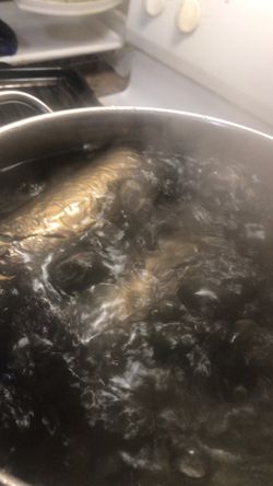 CHIKWANGUE, KWANGA A LA CONGOLAISE, BATON DE MANIOC