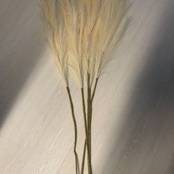 5  - Pompous Grass Branches, Cream 