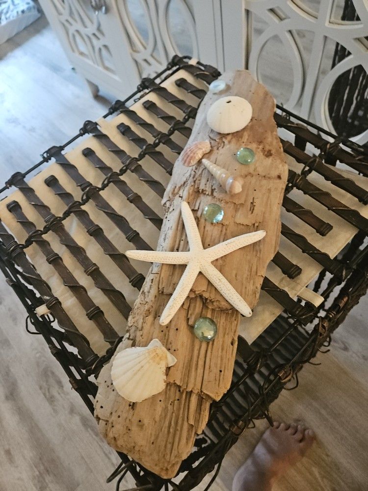 Drift Wood With Coastal Secor 17 Ling 5 W. 20 Obo