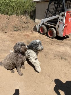 Property Clean Up