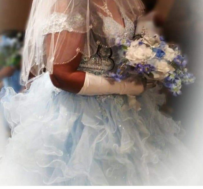 Wedding Dress/ Veil