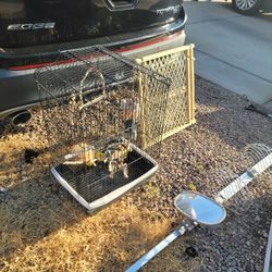 bird cage 