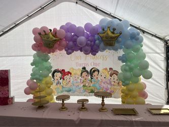 Baby Princess Party Backdrop/Banner