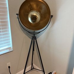 Pottery barn floor standing director lamp