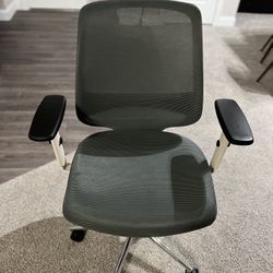 Branch Daily Chair