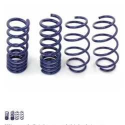 2015 - 2023 Mustang Steeda Sport Progressive Lowering Springs