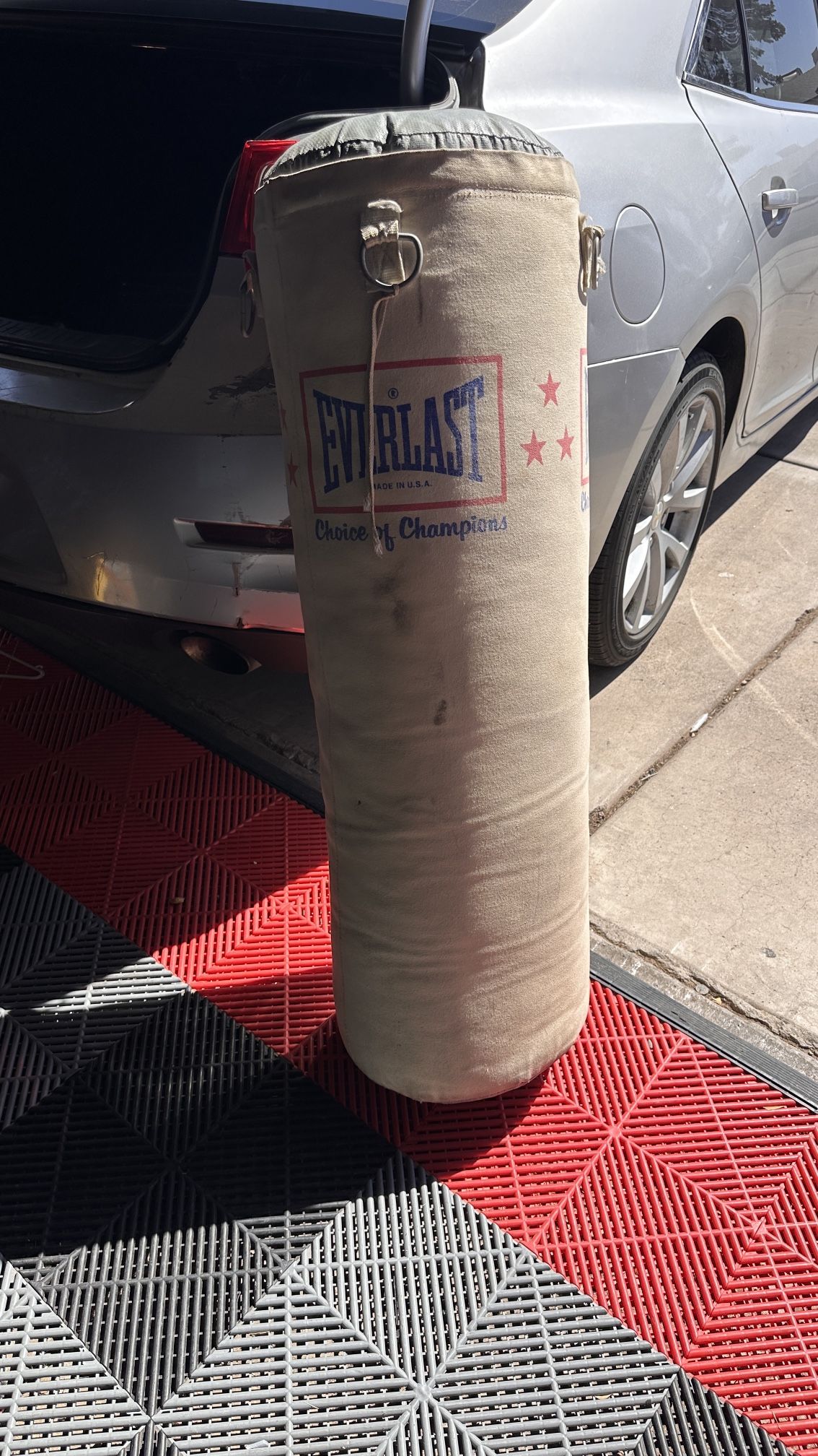 Everlast Punching Bag