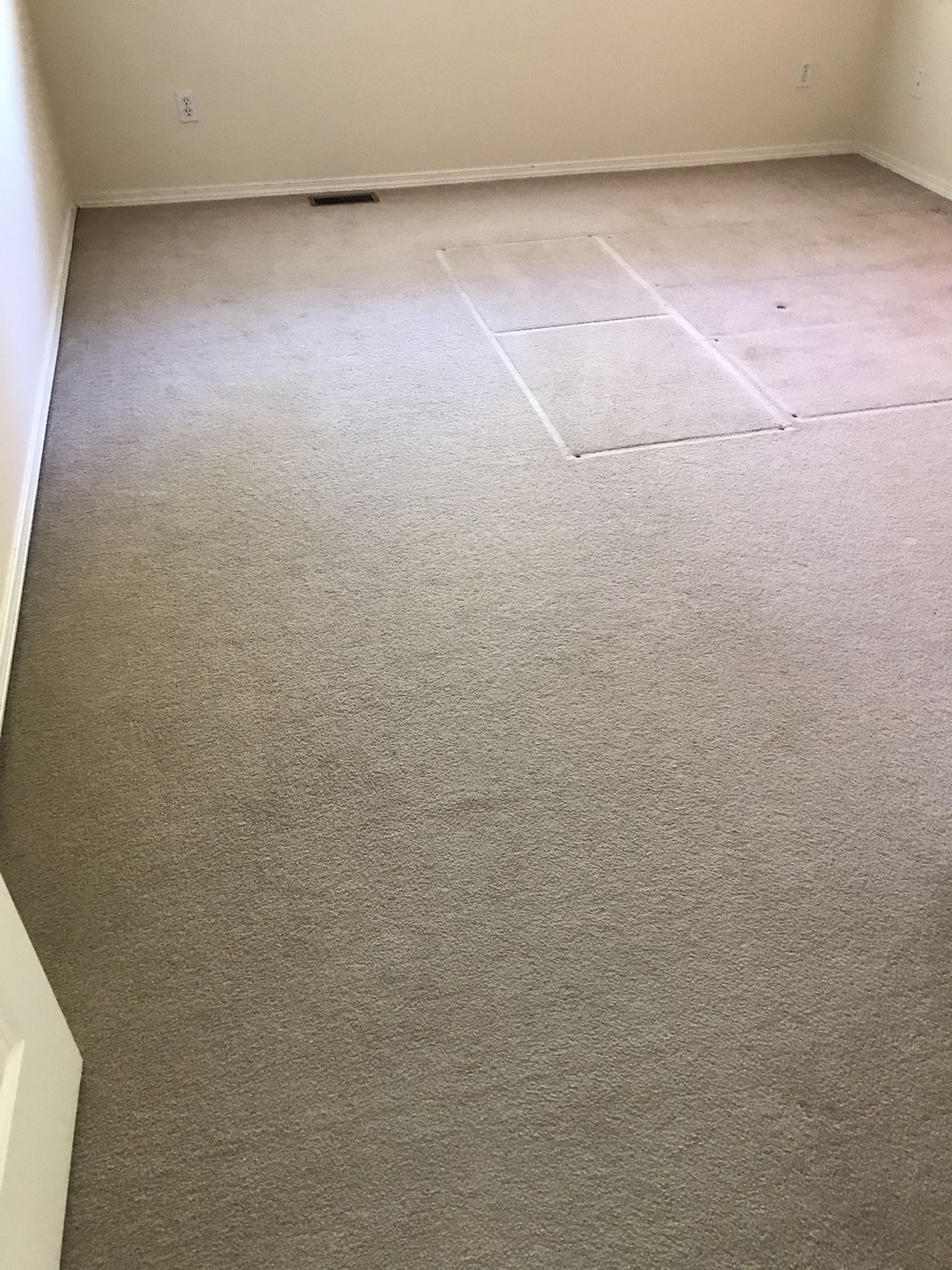 Free Carpet And Under Carpet