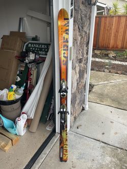 Skies , Salomon Scream L175 , 175 Centimeters 