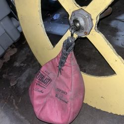 Speed Bag With Heavy Duty Mount 