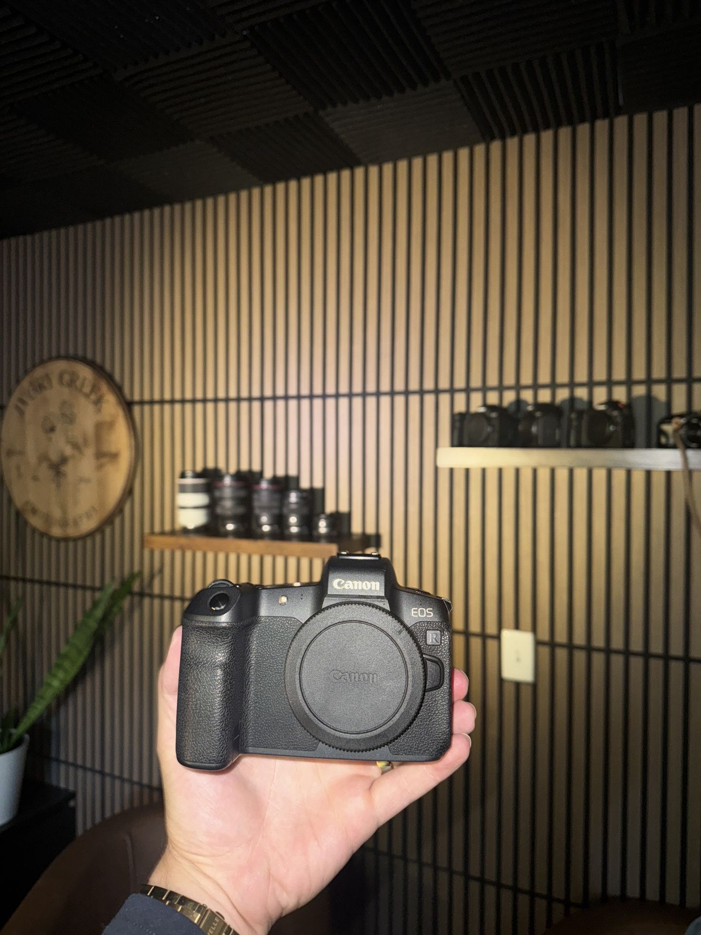 Mirrorless Canon R
