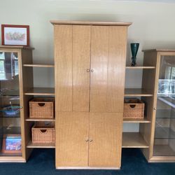 Entertainment Center / Display Cases