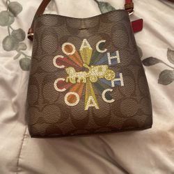 Crossbody Coach Bag 