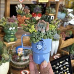 Eeyore Stanley Succulent Arrangement 