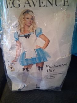 Enchanted Alice womens costume