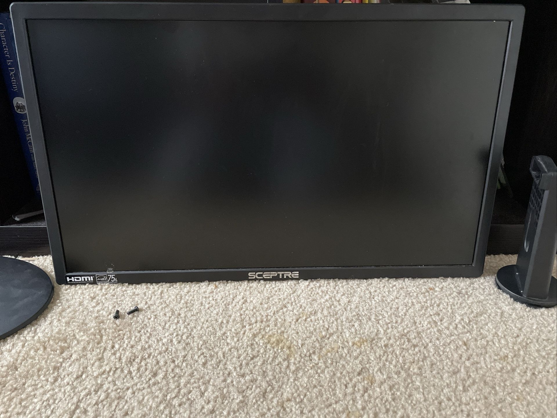 Sceptre 20 inch Widescreen LED Monitor with Built in Speakers,Lightly Used/Clean