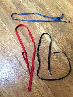 Dog leashes/harness