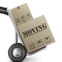 Need Help Moving?