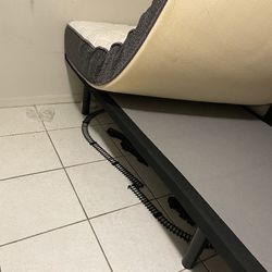 Queen Bed Or Two Twin Beds