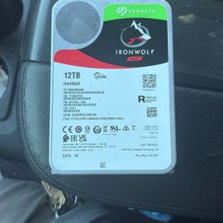 12 Tb Seagate Iron Wolf