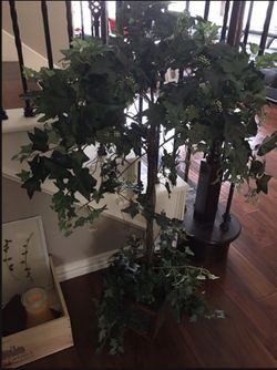 Gorgeous Large Decorative Tree/Plant (46”H) 