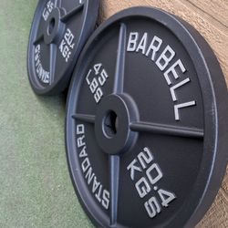 45 Lb Olympic Weights 