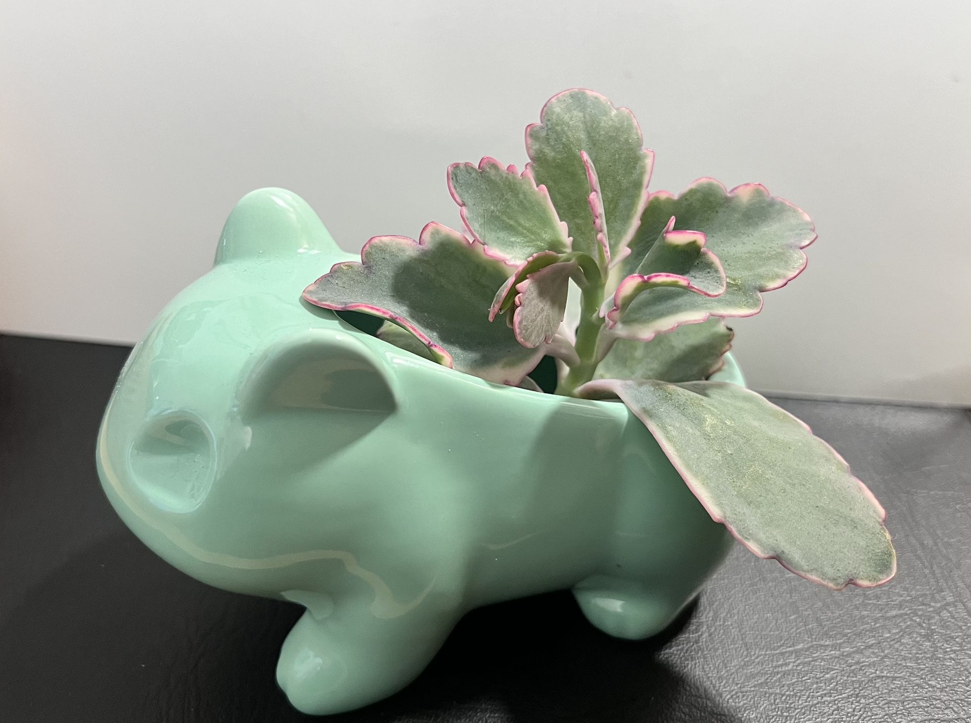 Cute Pokémon Bulbasaur Ceramic Flowerpot - Glazed Pottery for Succulent