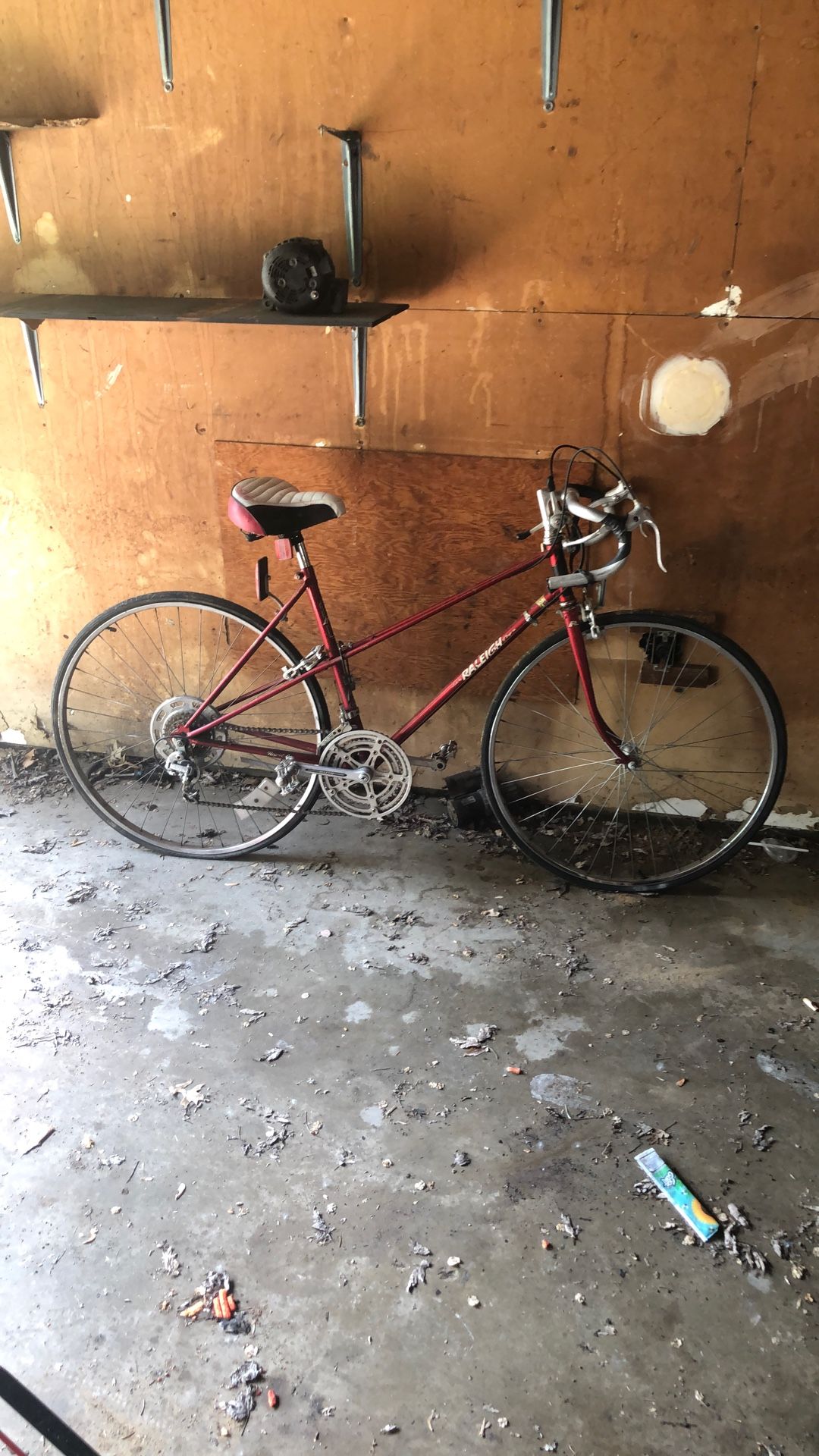RALEIGH Mountain Bike