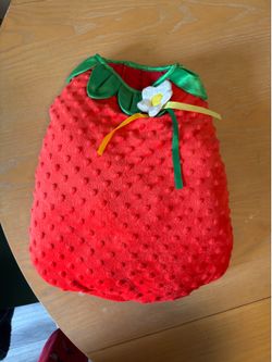 Strawberry Dog Costume Size M