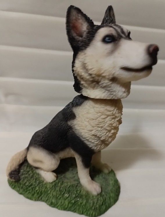 Small Husky Dog Vibrating