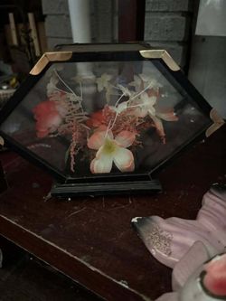 Vintage Hexagon Glass Flower Display Case