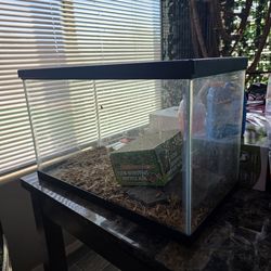 10 Gallon Tank