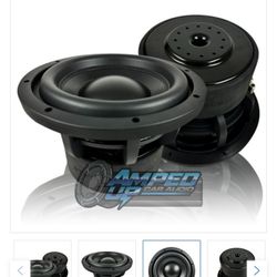 10" SQL Series 2 Subwoofer In Custom Box NEW!!!!