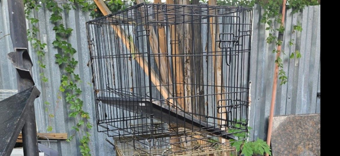 Animal Cage Jaula De Animal