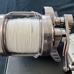 Daiwa Saltiga LD60 2spd