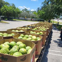 Florida watermelon 🍉 