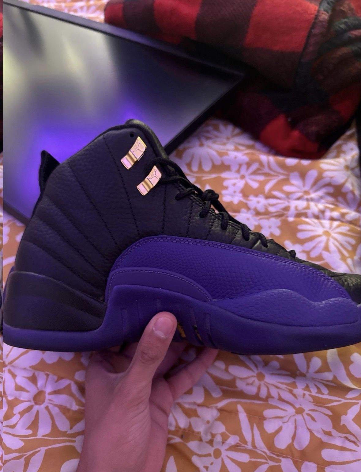Jordan 12 Court Purple Size 9 used